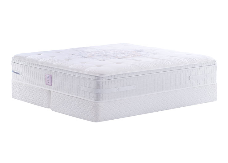 2ea80c96e945566431eb44786ba2a9ca